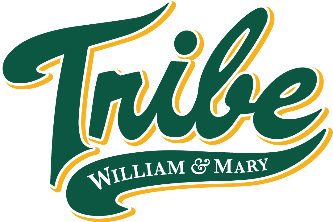 William and Mary Tribe 2016-2017 Primary Logo diy DTF decal sticker